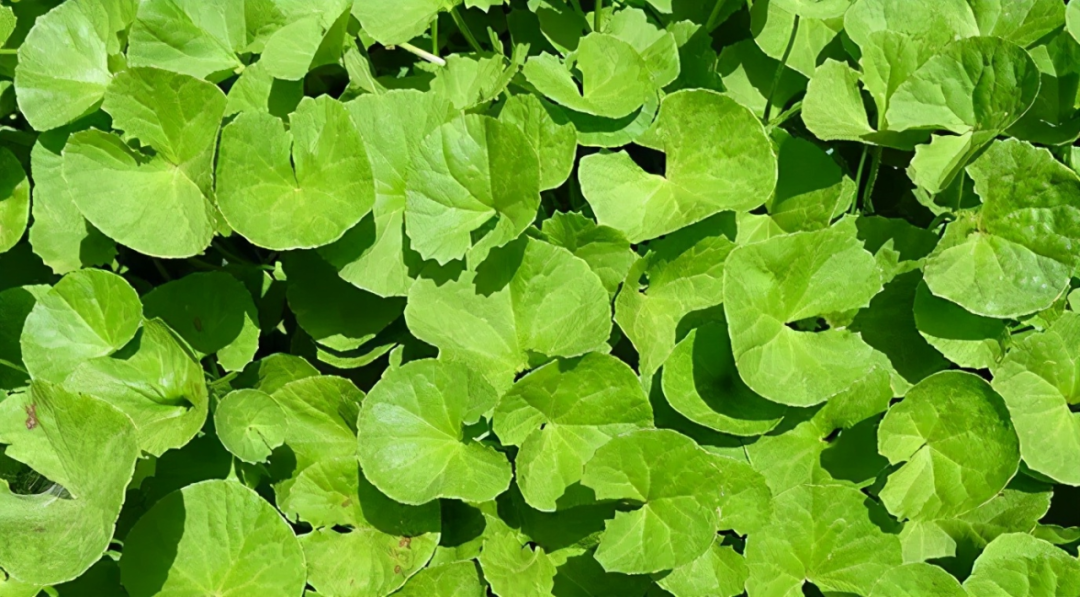 640 (2).png 640 (2).png