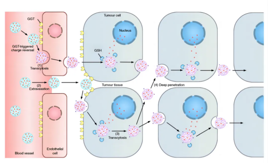 640 (3).png 640 (3).png